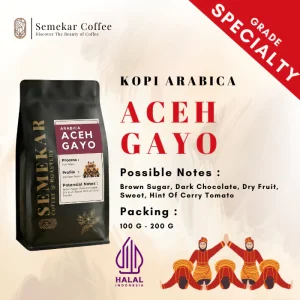 aceh gayo