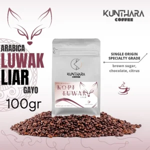 luwak