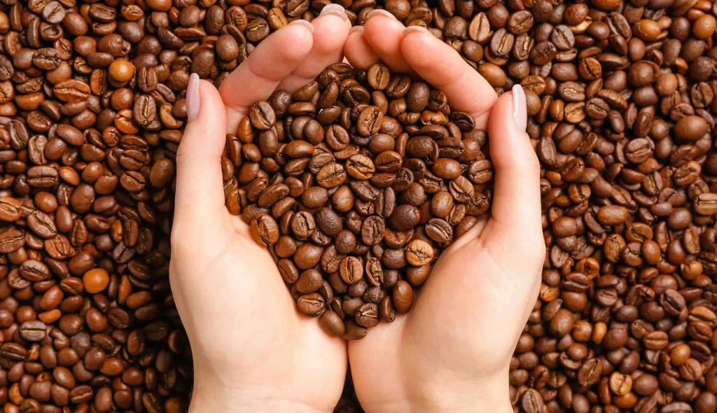 keunggulan kopi premium yang perlu kamu ketahui desk.jpg
